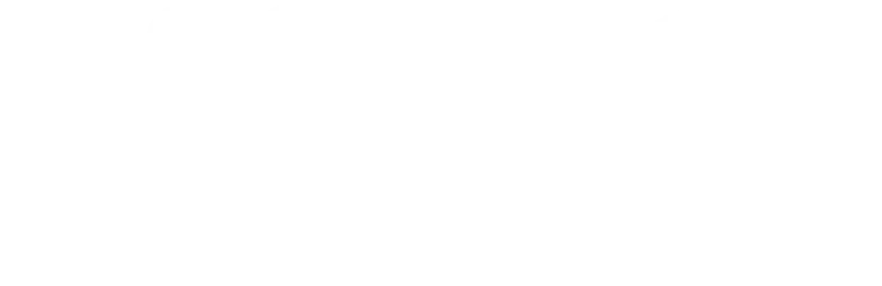 NIDO