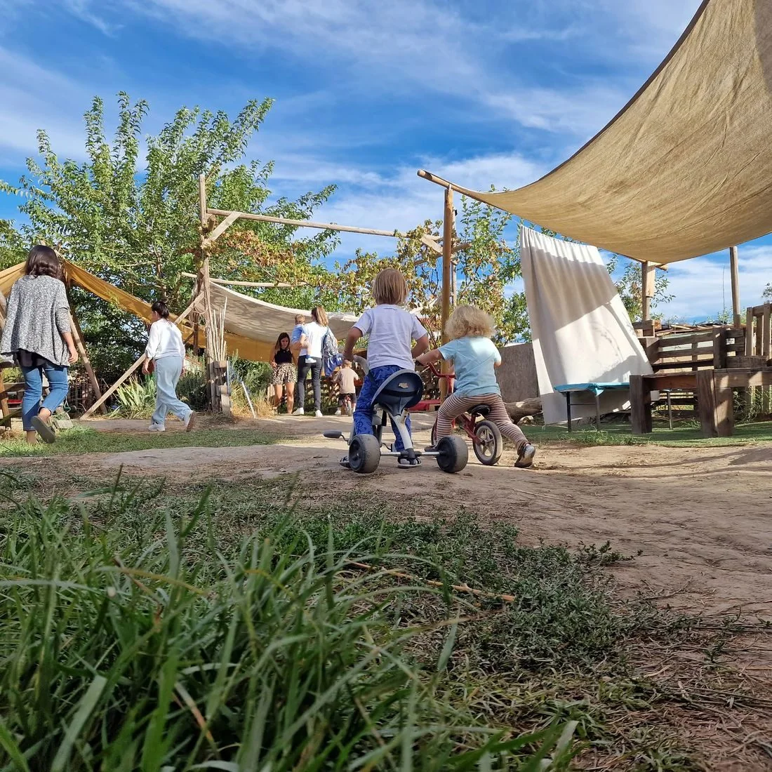 Niñas y niños jugando en un patio con toldos de tela, entre árboles y madera